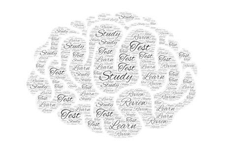 Word Cloud