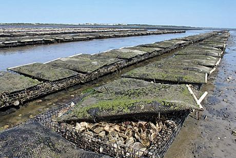 Rhode Island Aquaculture